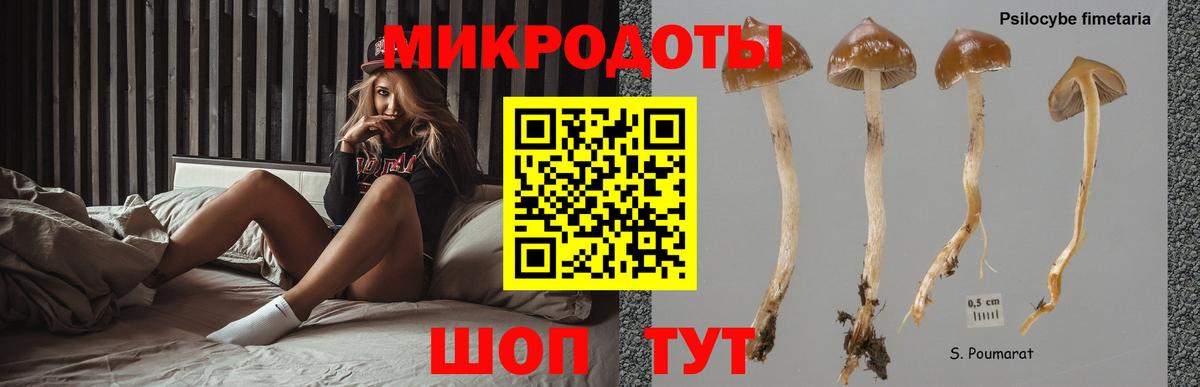 Псилоцибиновые грибы прущие грибы  Вход с VPN  Урюпинск  Галлюциногенные грибы GOLDEN TEACHER 